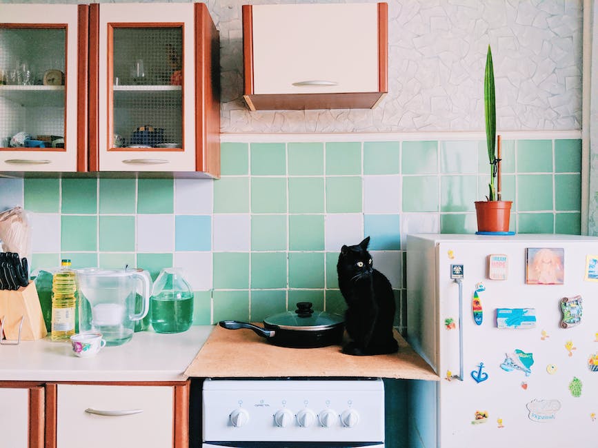 The Pros and Cons of Allowing Pets in Your Rental Property